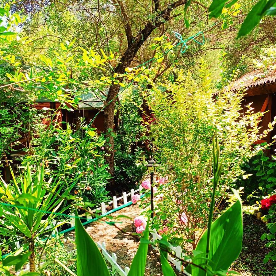 Canario Bungalows Çıralı Exterior foto