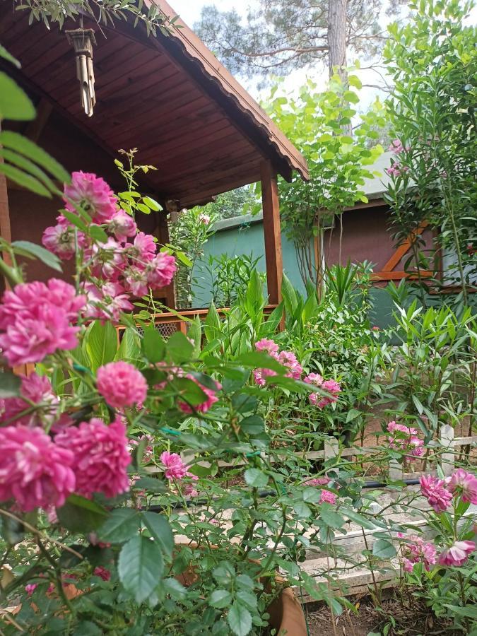 Canario Bungalows Çıralı Exterior foto