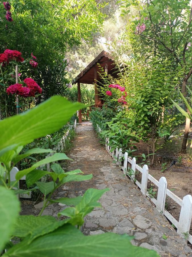 Canario Bungalows Çıralı Exterior foto
