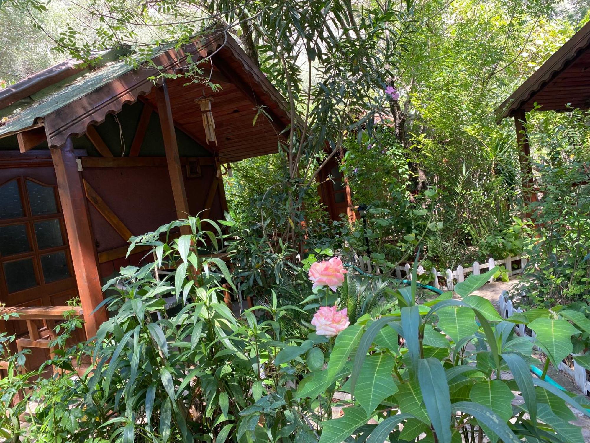 Canario Bungalows Çıralı Exterior foto